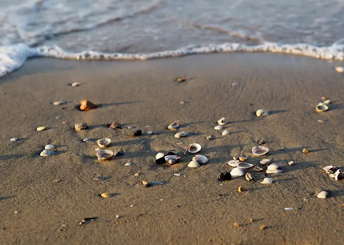 Апартаменти One Bedroom Coastal Flat - Beahost