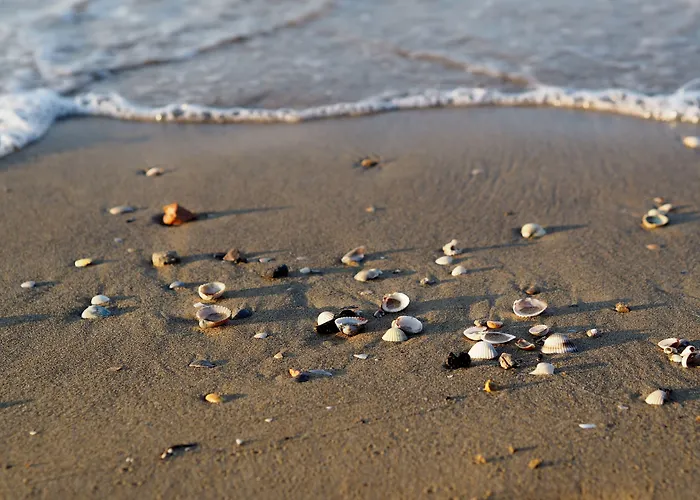 Апартаменти One Bedroom Coastal Flat - Beahost *